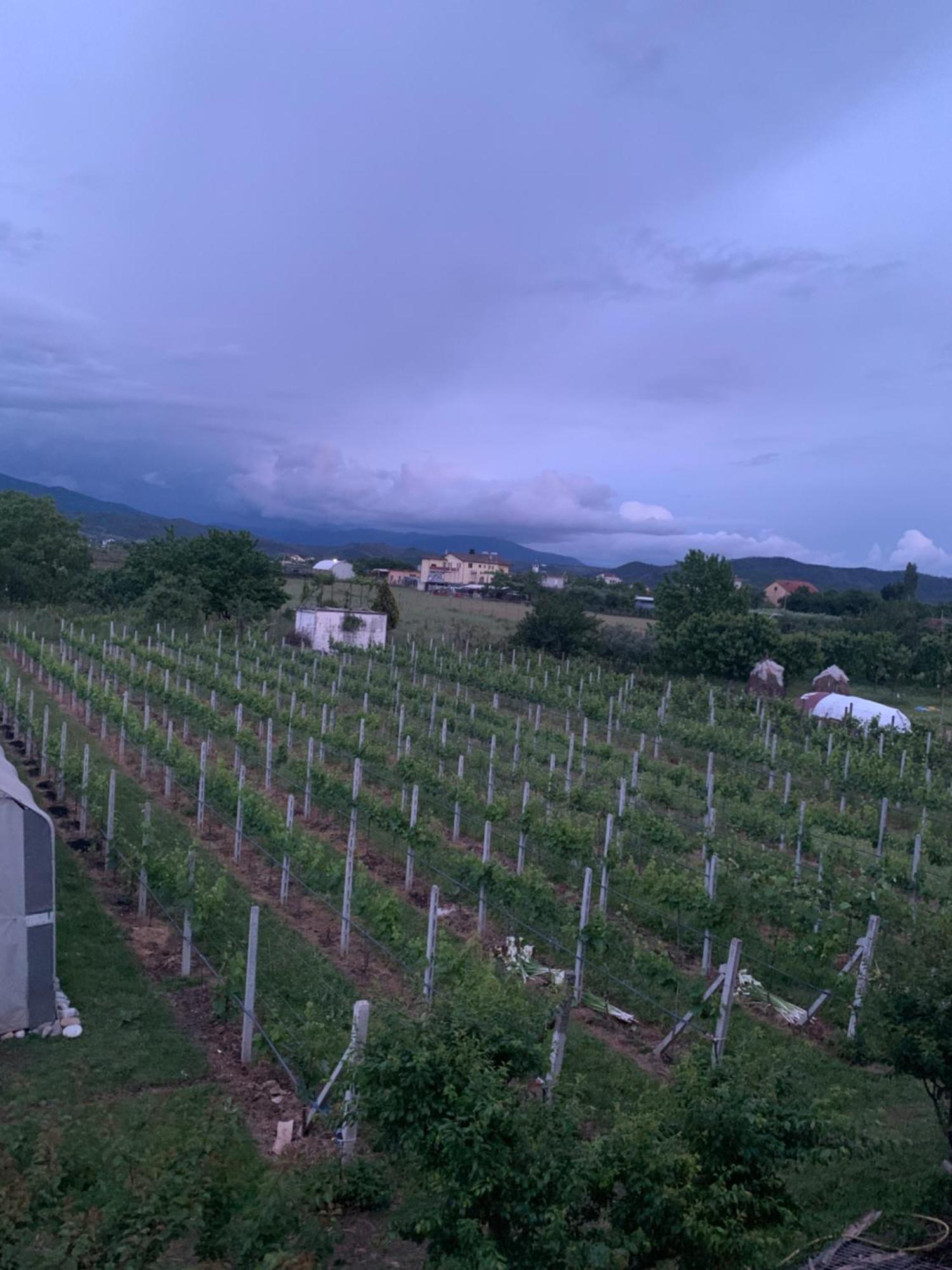 Hotel Villa Linda Shkoder Luaran gambar
