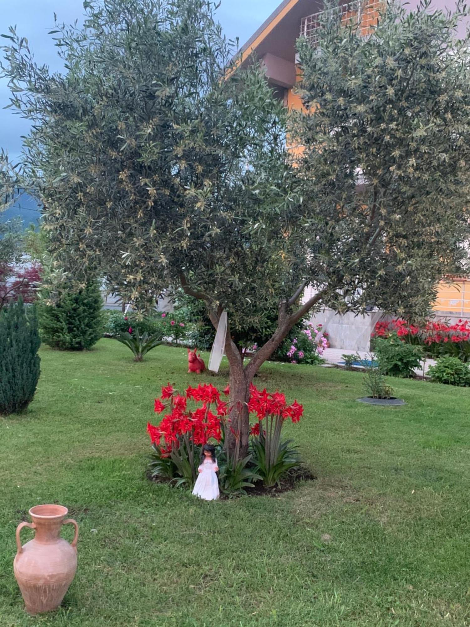 Hotel Villa Linda Shkoder Luaran gambar