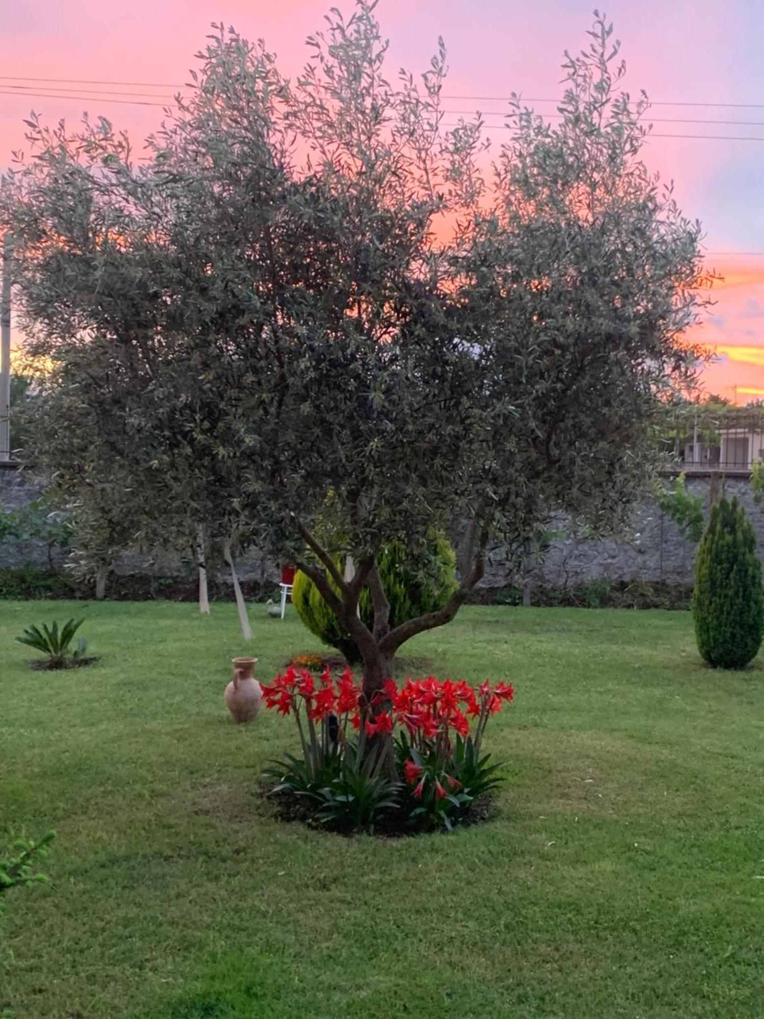 Hotel Villa Linda Shkoder Luaran gambar