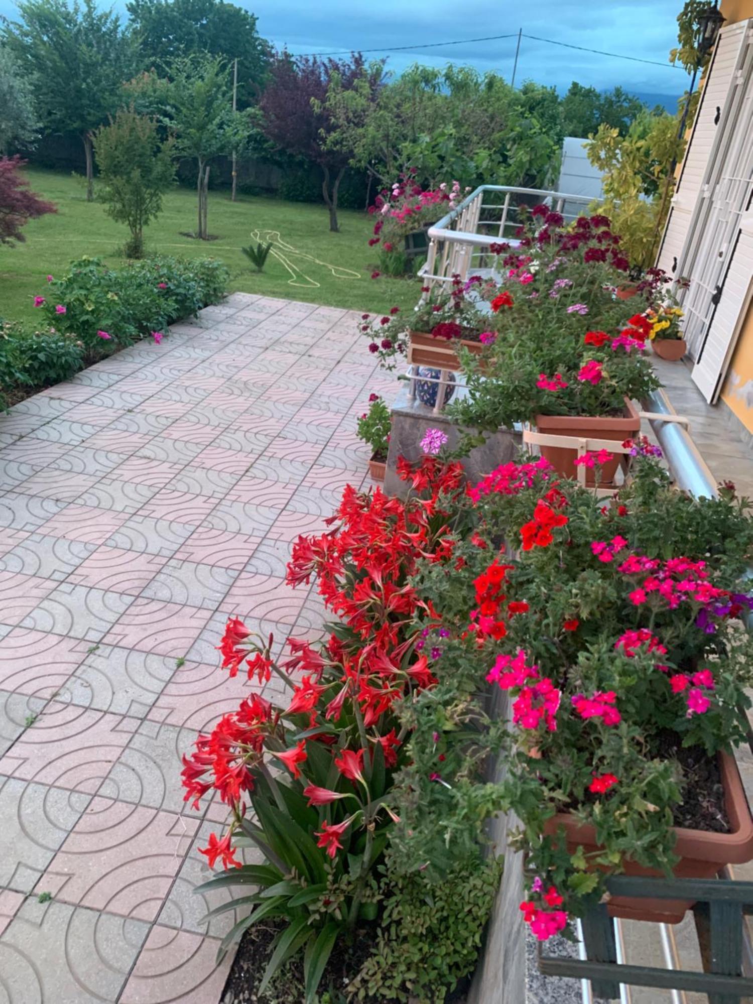 Hotel Villa Linda Shkoder Luaran gambar