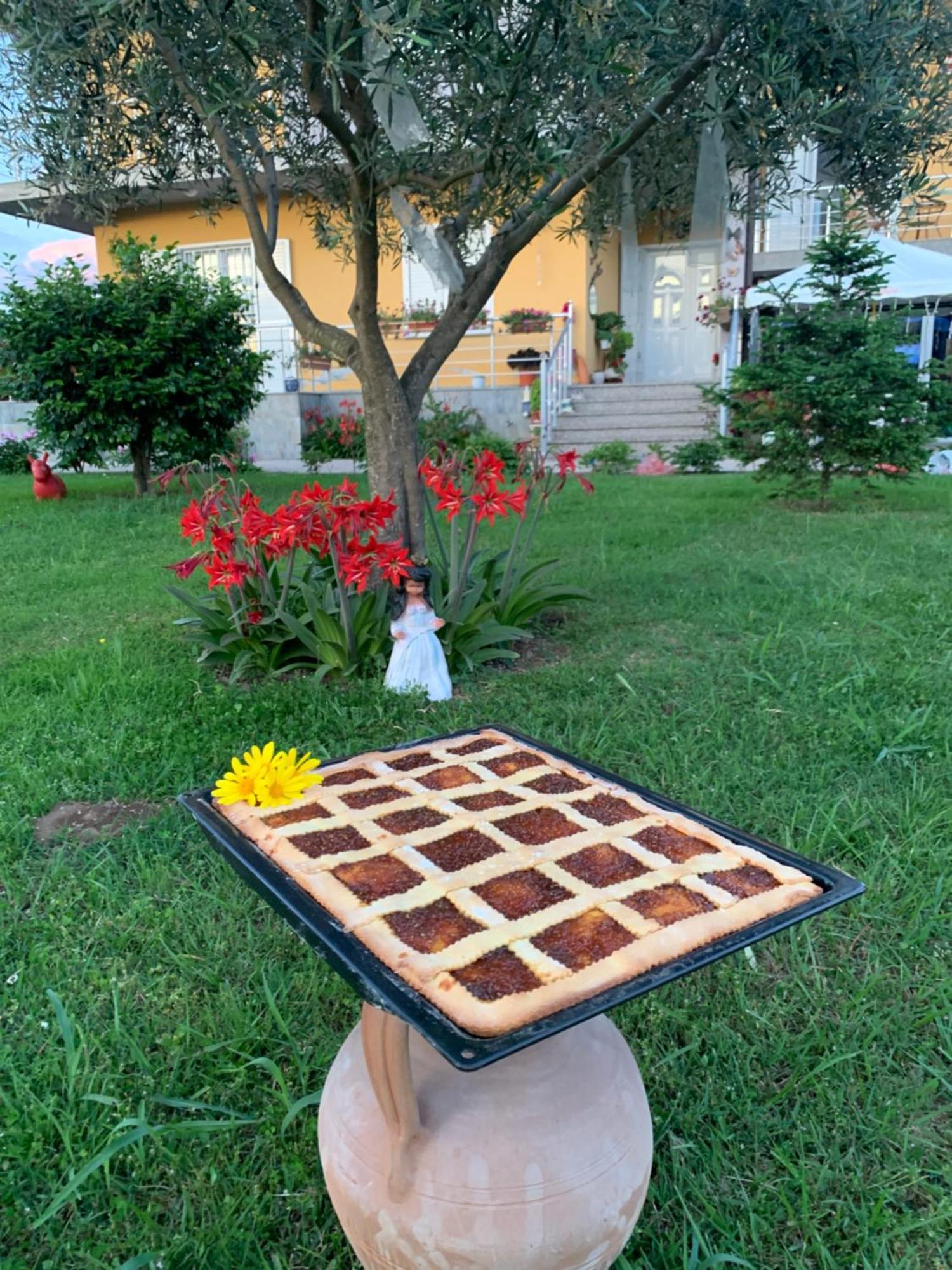 Hotel Villa Linda Shkoder Luaran gambar